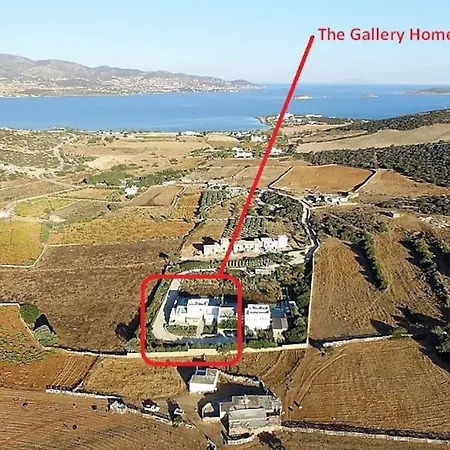 The Gallery