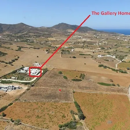 The Gallery
